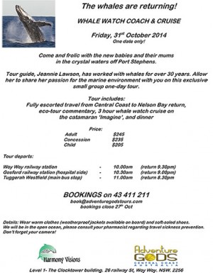 Whale Watch tour October 2014